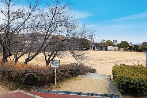 錦が丘中央公園