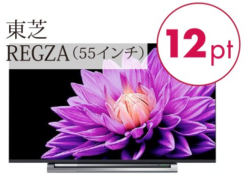 東芝REGZA（55インチ）