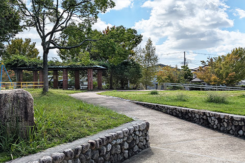 ■五葉松公園